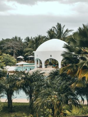 pexels-senuscape-1658967